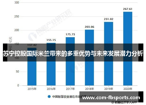 苏宁控股国际米兰带来的多重优势与未来发展潜力分析 苏宁控股国际米兰带来的多重优势与未来发展潜力分析