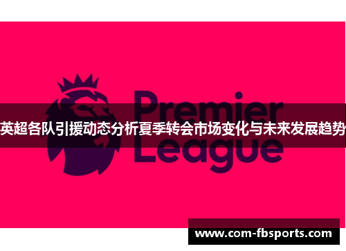 英超各队引援动态分析夏季转会市场变化与未来发展趋势 英超各队引援动态分析夏季转会市场变化与未来发展趋势