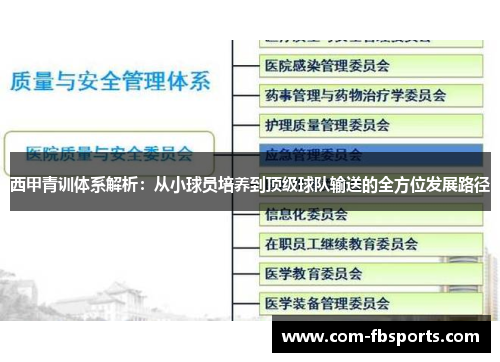 西甲青训体系解析:从小球员培养到顶级球队输送的全方位发展路径 西甲青训体系解析:从小球员培养到顶级球队输送的全方位发展路径
