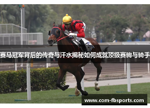 赛马冠军背后的传奇与汗水揭秘如何成就顶级赛驹与骑手 赛马冠军背后的传奇与汗水揭秘如何成就顶级赛驹与骑手