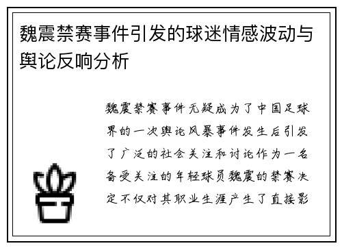 魏震禁赛事件引发的球迷情感波动与舆论反响分析