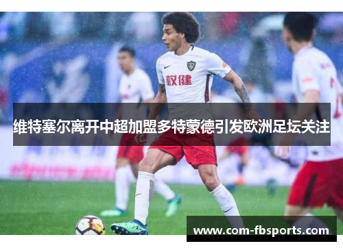 维特塞尔离开中超加盟多特蒙德引发欧洲足坛关注 维特塞尔离开中超加盟多特蒙德引发欧洲足坛关注