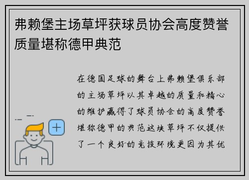 弗赖堡主场草坪获球员协会高度赞誉质量堪称德甲典范